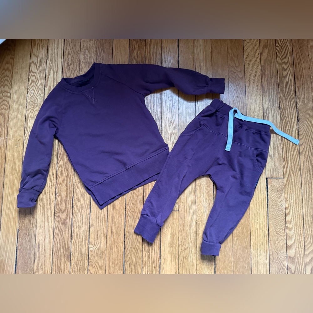 Little Bipsy Purple Sweatshirt and Jogger Set - Size 3 / 4